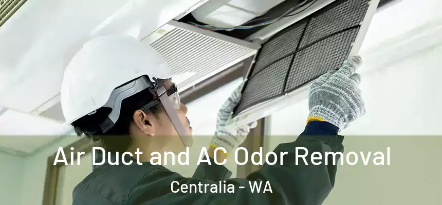  Air Duct and AC Odor Removal Centralia - WA