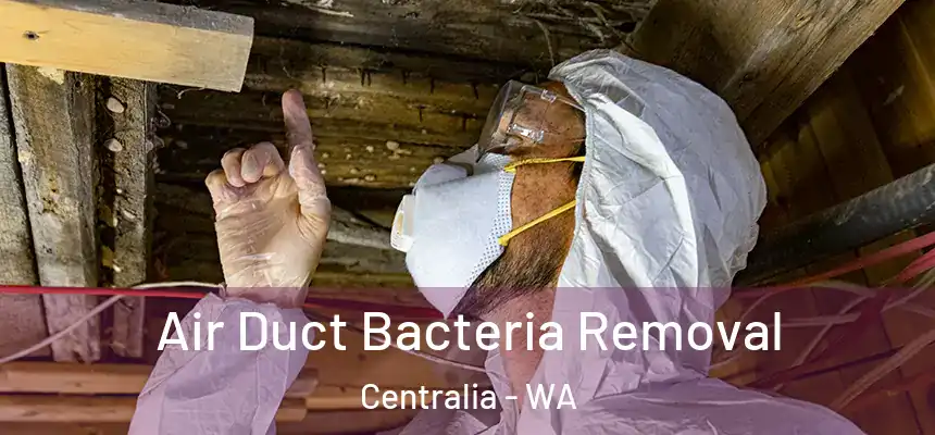 Air Duct Bacteria Removal Centralia - WA