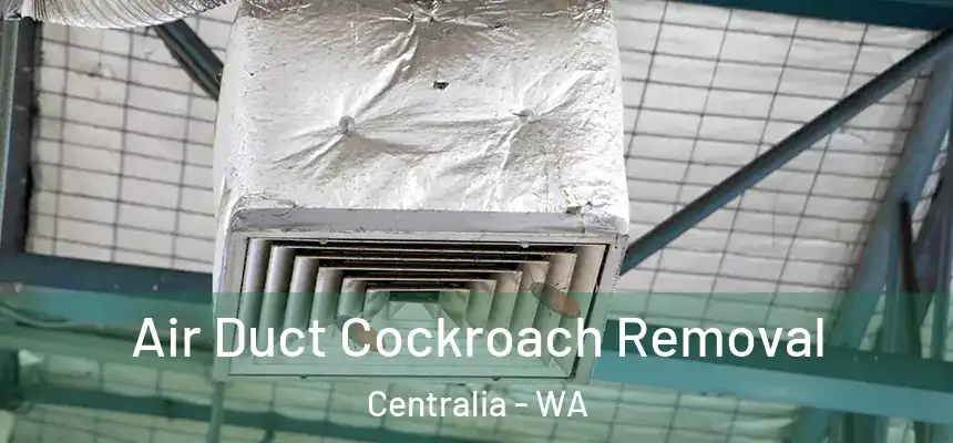  Air Duct Cockroach Removal Centralia - WA