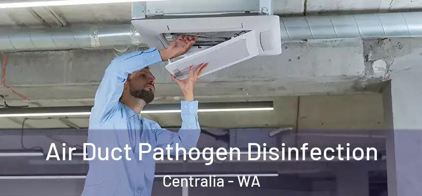 Air Duct Pathogen Disinfection Centralia - WA