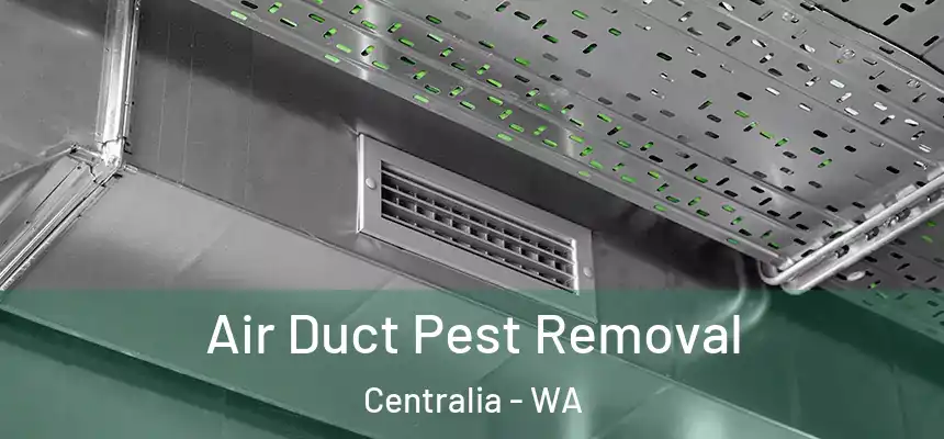Air Duct Pest Removal Centralia - WA
