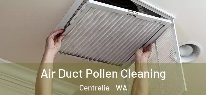 Air Duct Pollen Cleaning Centralia - WA