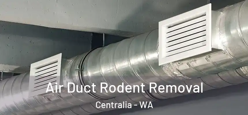  Air Duct Rodent Removal Centralia - WA