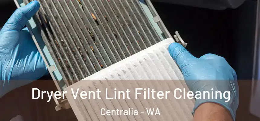  Dryer Vent Lint Filter Cleaning Centralia - WA