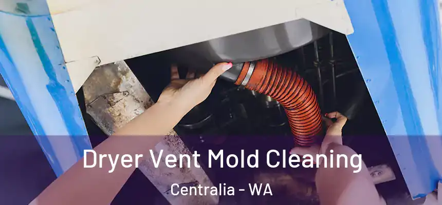  Dryer Vent Mold Cleaning Centralia - WA