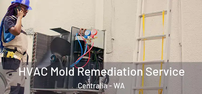 HVAC Mold Remediation Service Centralia - WA