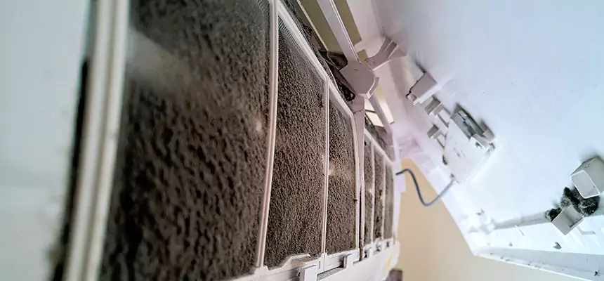 Preventive Air Duct Bacteria Removal in Centralia