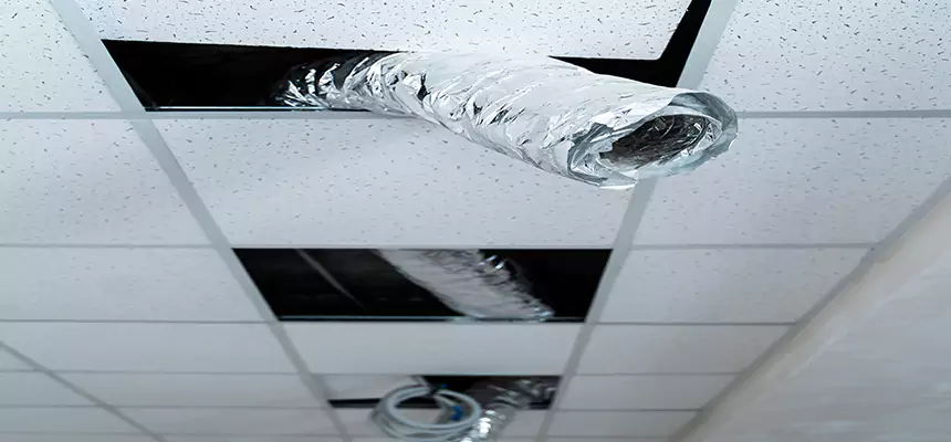 Affordable HVAC Sanitizing After Pest Removal in Centralia