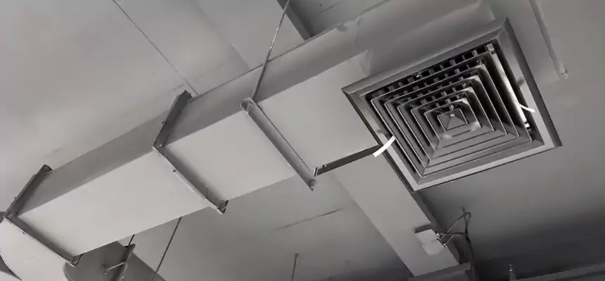 Restorative Allergy Relief Vent Cleaning – Coil, Blower & Housing Detail in Centralia