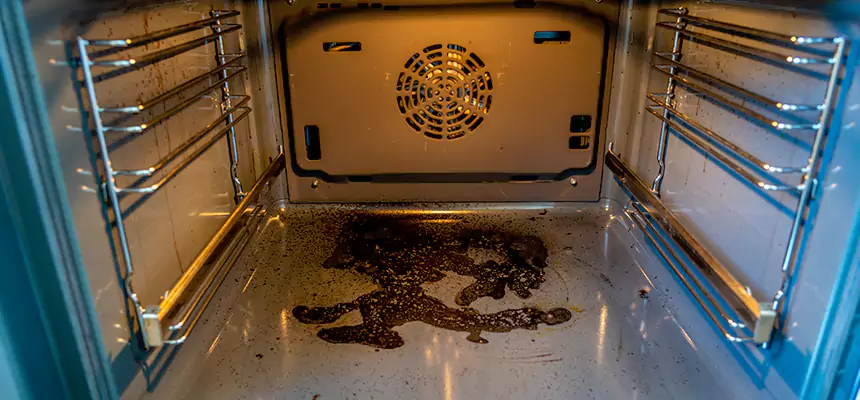 Our Dryer Vent Mold Cleaning Services in Centralia, WA