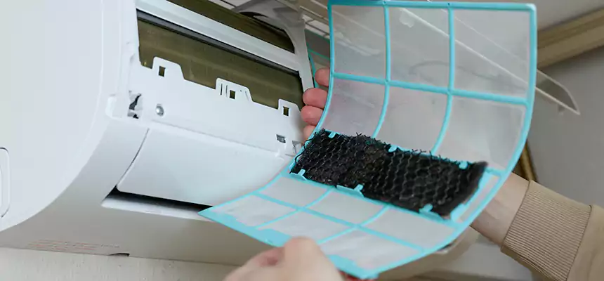 Gentle Ductwork Odor-Control Pet Dander Duct Cleaning in Centralia, WA