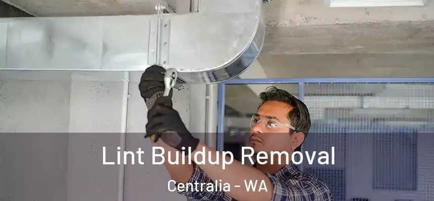  Lint Buildup Removal Centralia - WA