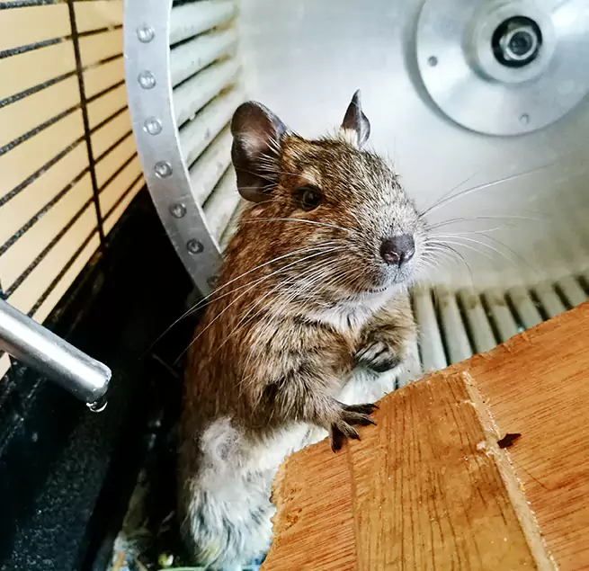 Why Homeowners & Businesses Trust Us Centralia, WA?