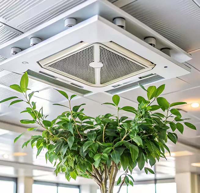 Why Homeowners & Businesses Trust Us in Centralia, WA?