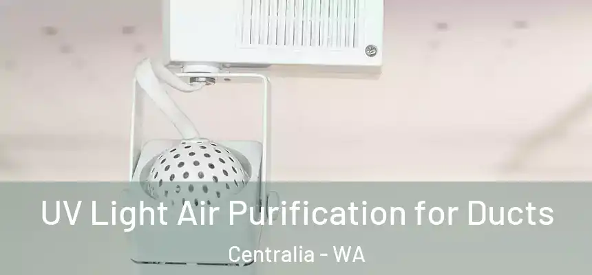  UV Light Air Purification for Ducts Centralia - WA